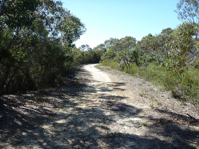 Elvina Bay Aboriginal Engraving Walk walking track