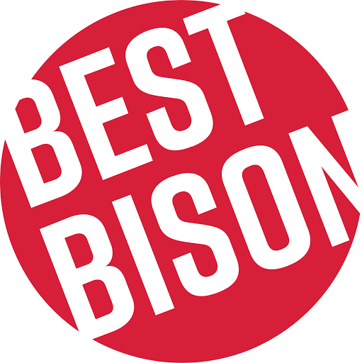 Best Bison - Now Fresh N Delicious logo