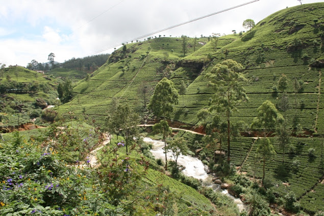 Sri Lankа - сейчас. Много фото пляжей. Sri Lankа - сейчас. Много фото пляжей.