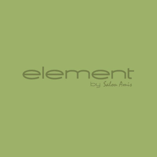 Element Salon logo