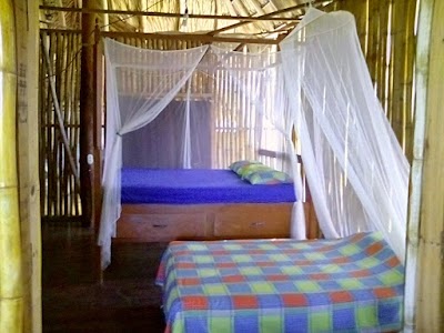Photos of The Li'l Aussie Hut