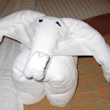 Towel Elephant! - Carnival Valor