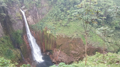 Catarata Del Toro