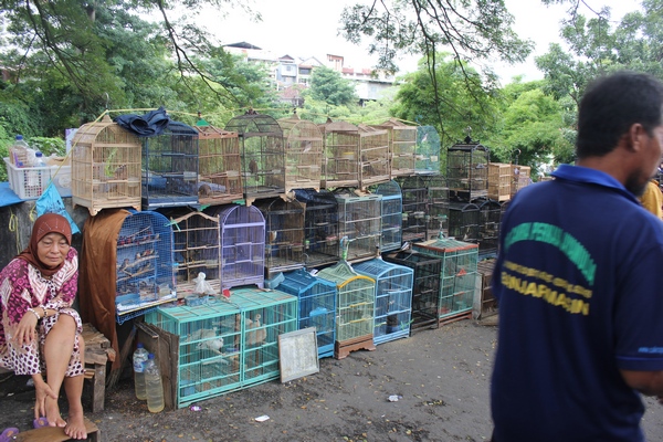 Pasar Burung Splendid Pasar%252520Burung%252520Splendid%252520Kota%252520Malang%2525203 Jelajah Kota Malang Dalam Sehari