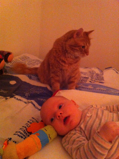 user posted image