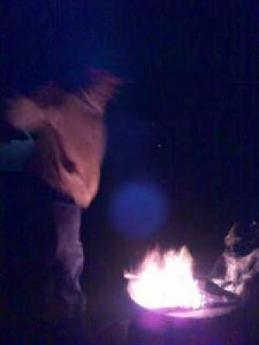 Alien In Campfire Light Tillamook Oregon