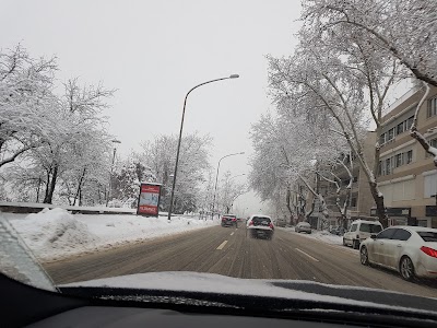 Photos of Botanical Park