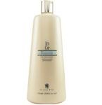 GRAHAM WEBB by Graham Webb: ICE CAP REVITALIZING CONDITIONER 33.8 OZ