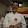 Rafael Rodolfo Chacon Rafael Rodolfo Chacon's profile photo