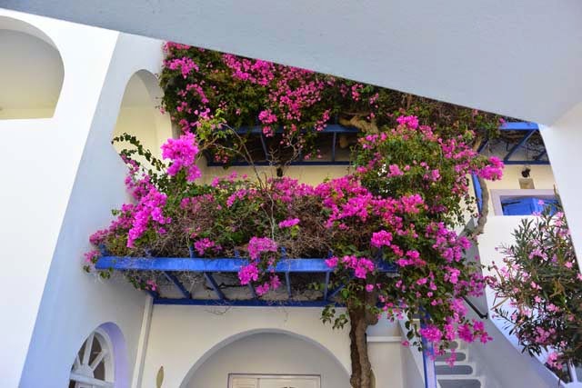 Atenas, Santorini y Naxos - Blogs de Grecia - 3 noches en Santorini (2)