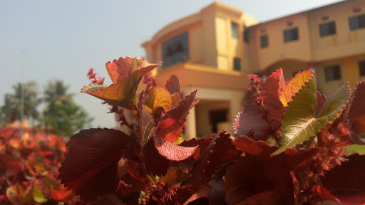 Vivekananda PU College, Nehru Nagar - Bannur - Haradi Rd, Vivekananda Campus, Nehru Nagar, Dakshina Kannada, Karnataka, Puttur, Karnataka 574203, India, Junior_College, state KA