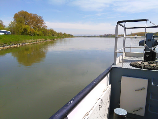 Bac de Rhinau-Kappel