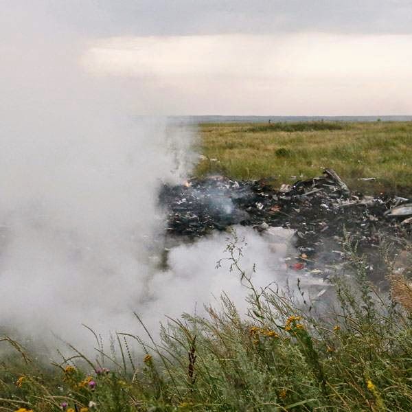 The site of a Malaysia Airlines Boeing 777 plane crash is seen near the settlement of Grabovo in the Donetsk region, July 17, 2014.