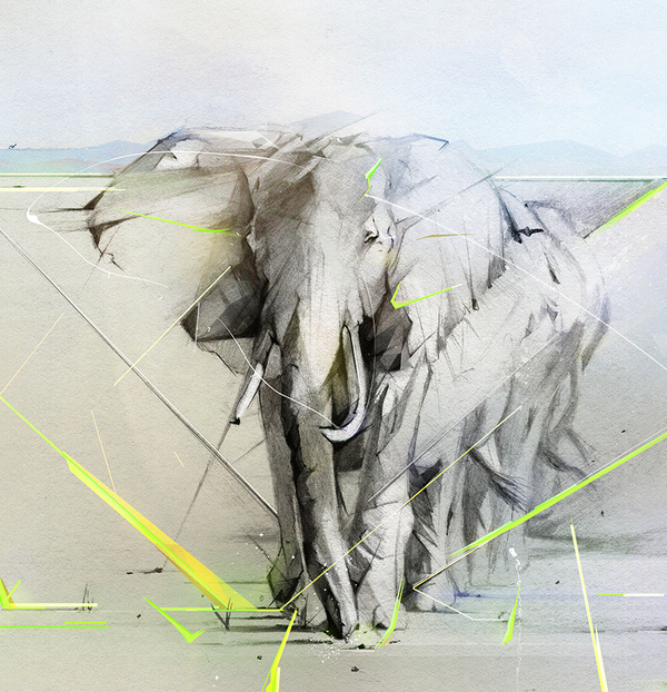 Elefante detalhe Elefante detalhe