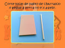 PAP GRÁVIDA DE MACACÃO (19).JPG