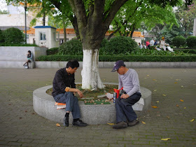 two men playing xiangqi (Chinese chess) next to a tree