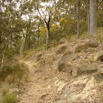 Rocky track near Mt Sugarloaf (324719)