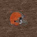 Samsung%252520Reality%252520Cleveland%252520Browns%252520Brown.jpg