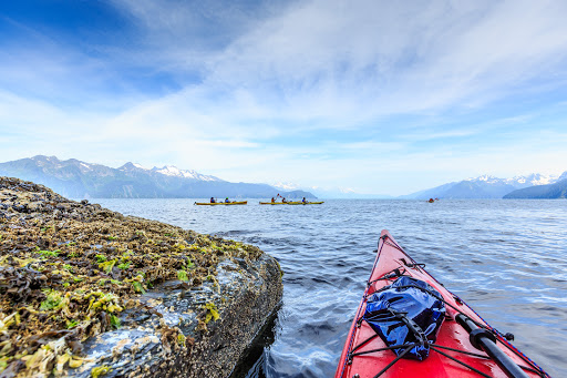 Kenai Fjords Wilderness Lodge Halibut Cove