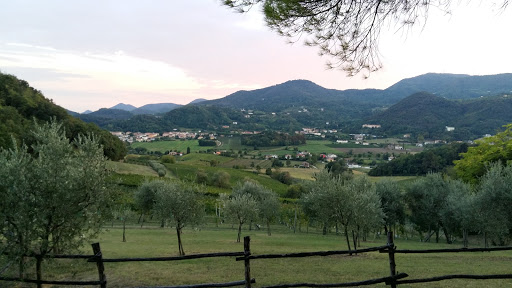 Immagine principale di Fattoria Quota 101