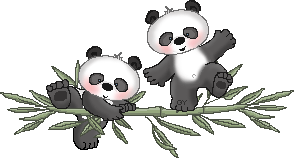 https://lh6.googleusercontent.com/-ql3OTf7m8ws/T2TUqKpx9HI/AAAAAAAAOFM/XVcfCI9qUH8/s294/panda.gif
