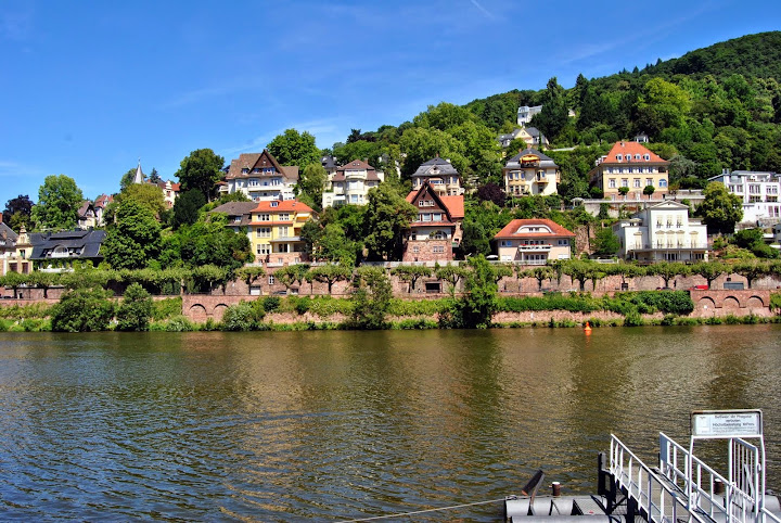 Heidelberg y Strasbourg. - Alsacia, Selva Negra y Suiza. (1)