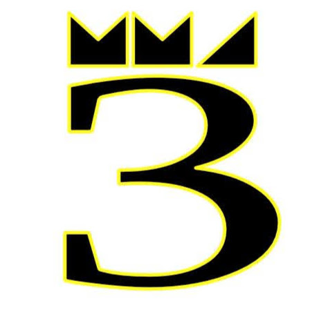 3 KINGS MMA logo