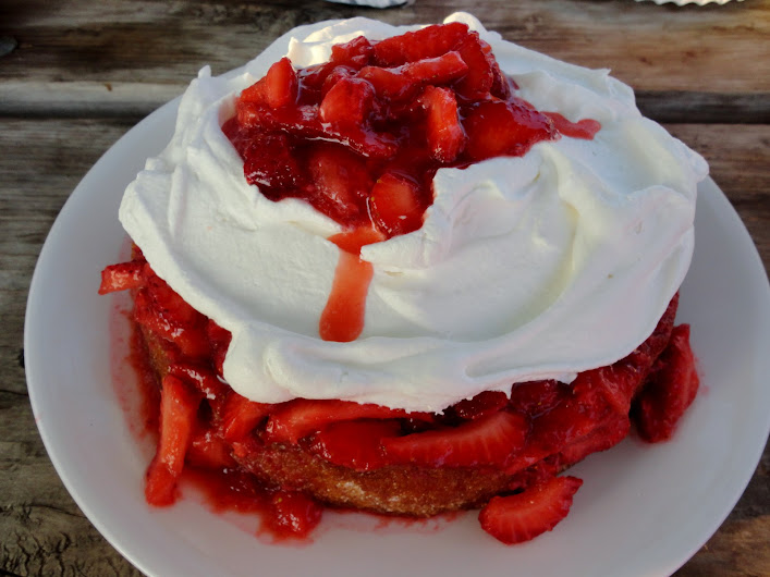 CW’s Strawberry Shortcake | Veronica's Cornucopia