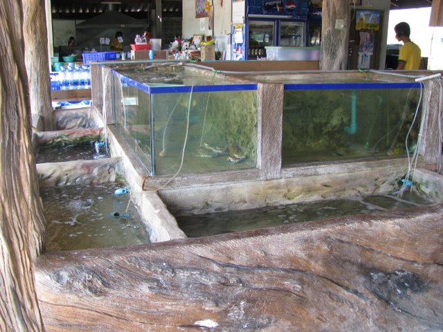 Enjoy delicious seafood from the restaurant