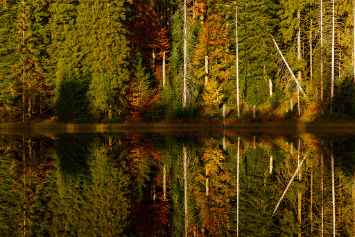 Wilder See – Hornisgrinde