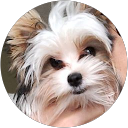 Image Google de Eric