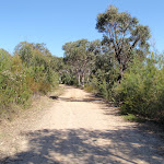 Track up spur to Pennant Hills Park (77746)