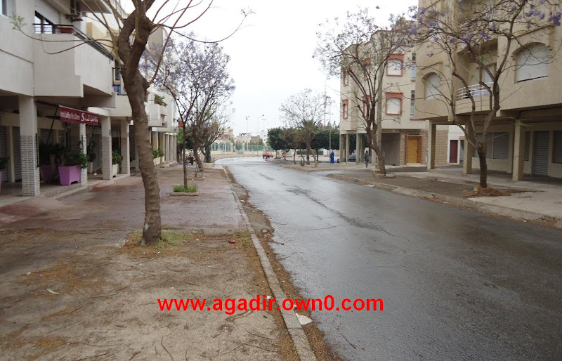 شارع سليمان الروداني حي الموظفين بمدينة اكادير DSC02143