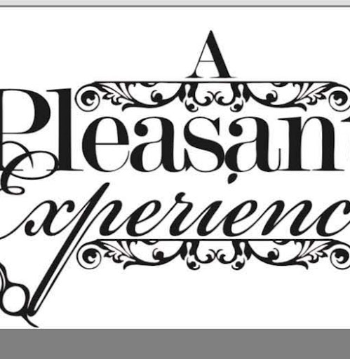 A Pleasant Experience Hair and Nail Salon logo