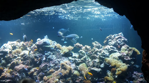 Virginia Aquarium & Marine Science Center