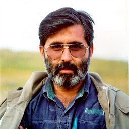 avatar of Mohammadhossein Dolatabadi