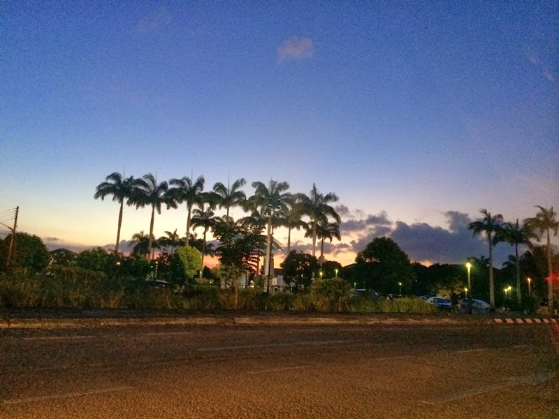 Peaceful Evening