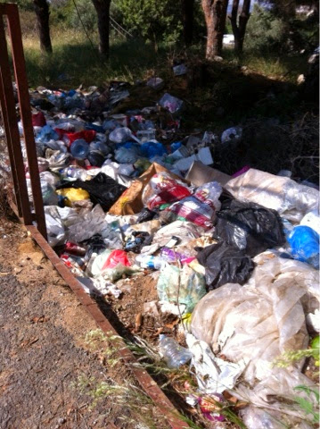 Cleaning Up Our Lebanese Landscape