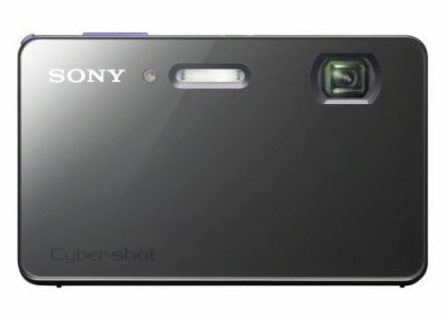 Sony Cyber-shot DSC-TX200V 18.2 MP Waterproof Digital Camera with 5x Optical Zoom and 3.3-inch OLED (Violet) (2012 Model)