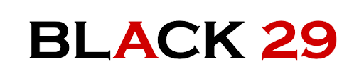 BLACK 29 logo
