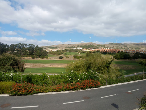 Dolce Campo Real