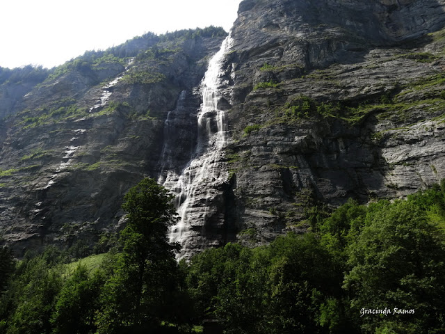passeando - Passeando pela Suíça - 2012 - Página 13 DSC04595