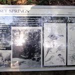 Information sign at Jersey Spring (172950)
