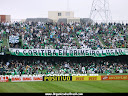 MANCHA VERDE DO CORITIBA