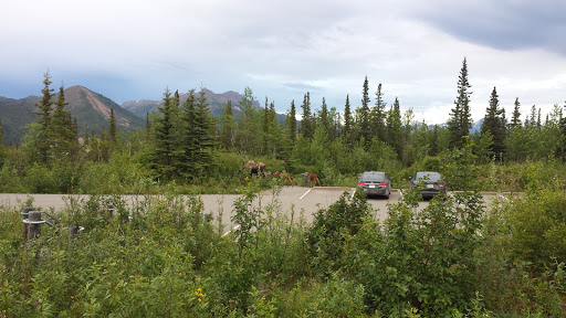 Denali Visitor Center