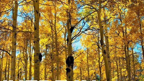 Cover photo