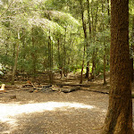 Berowra Creek campsite (329276)