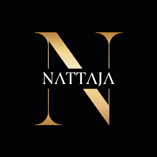 Nanolashes by Nattaja logo