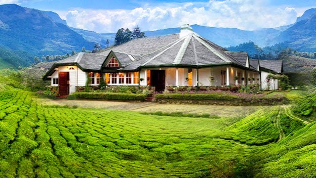 Stafford Bungalow