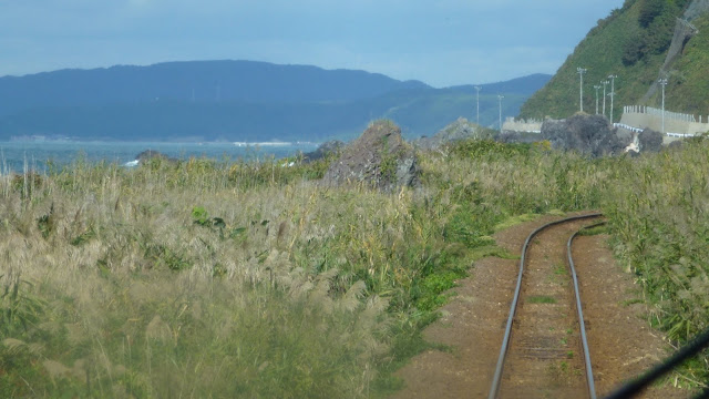 Train track running through long reeds by the coast
